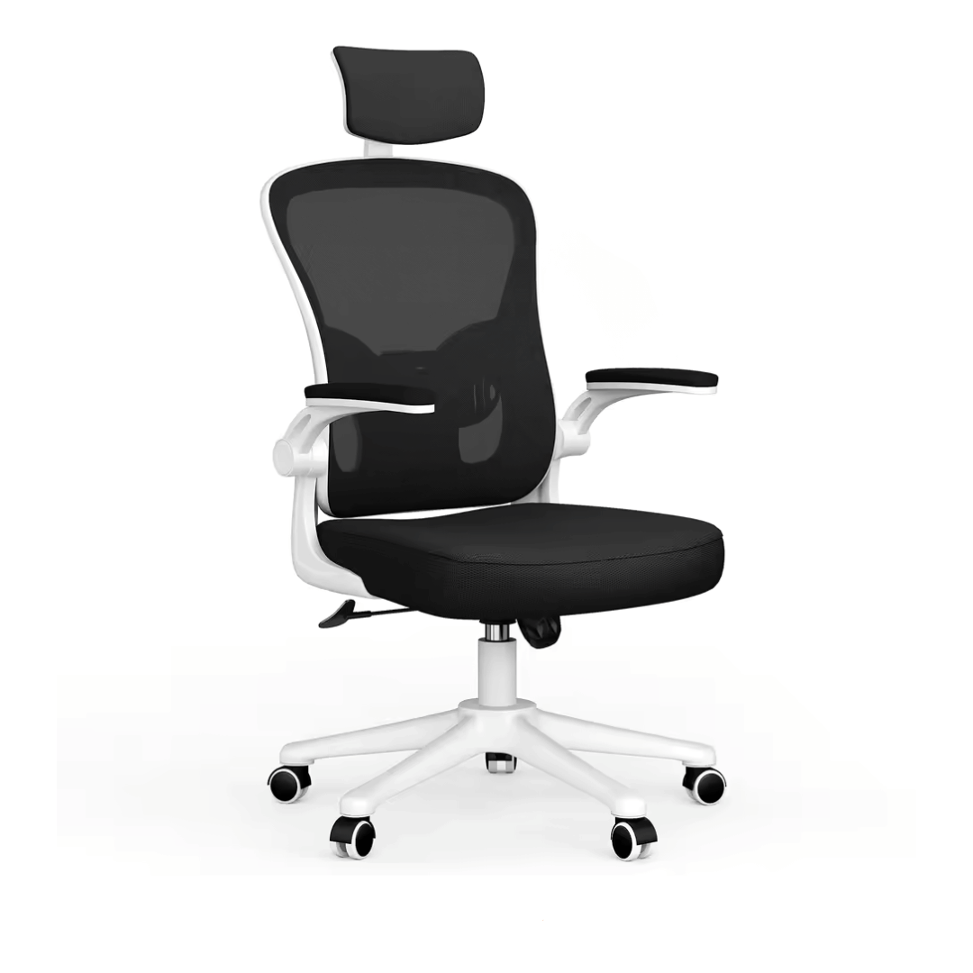Ergonomic Study Chair | Rilo