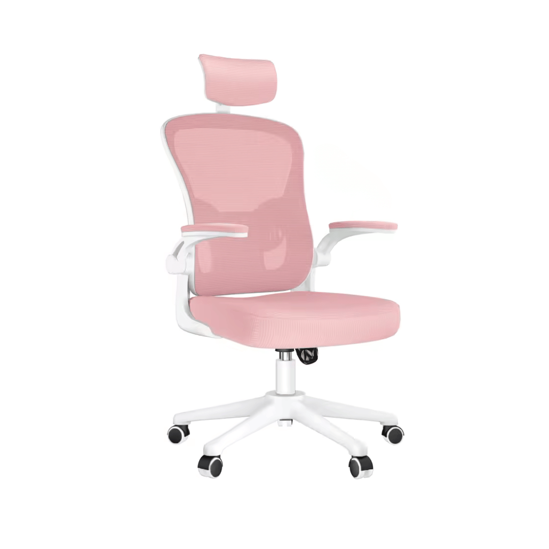 Ergonomic Study Chair | Rilo