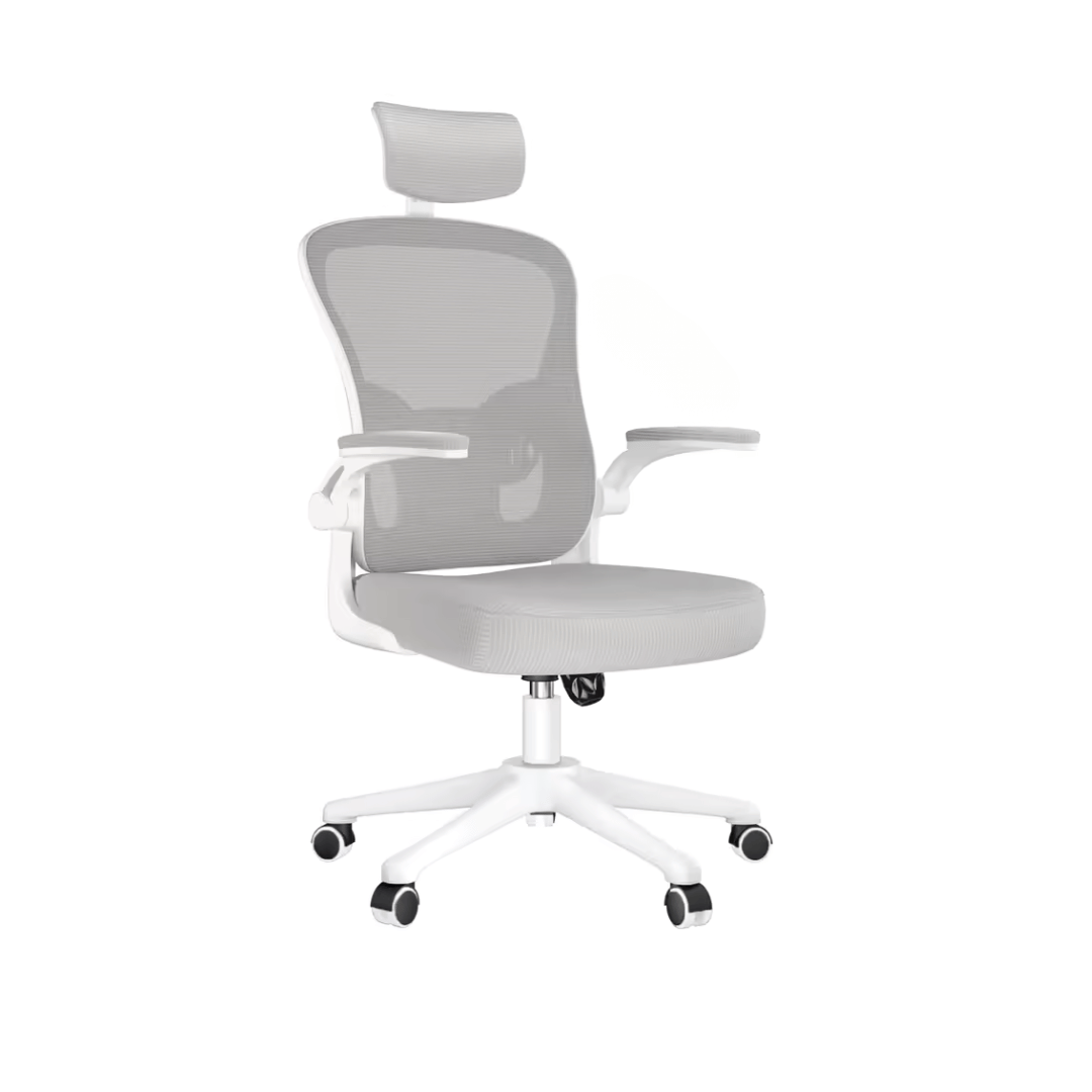 Ergonomic Study Chair | Rilo