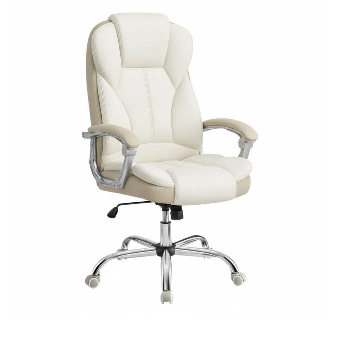 Ergonomic Work Chair | Alvo